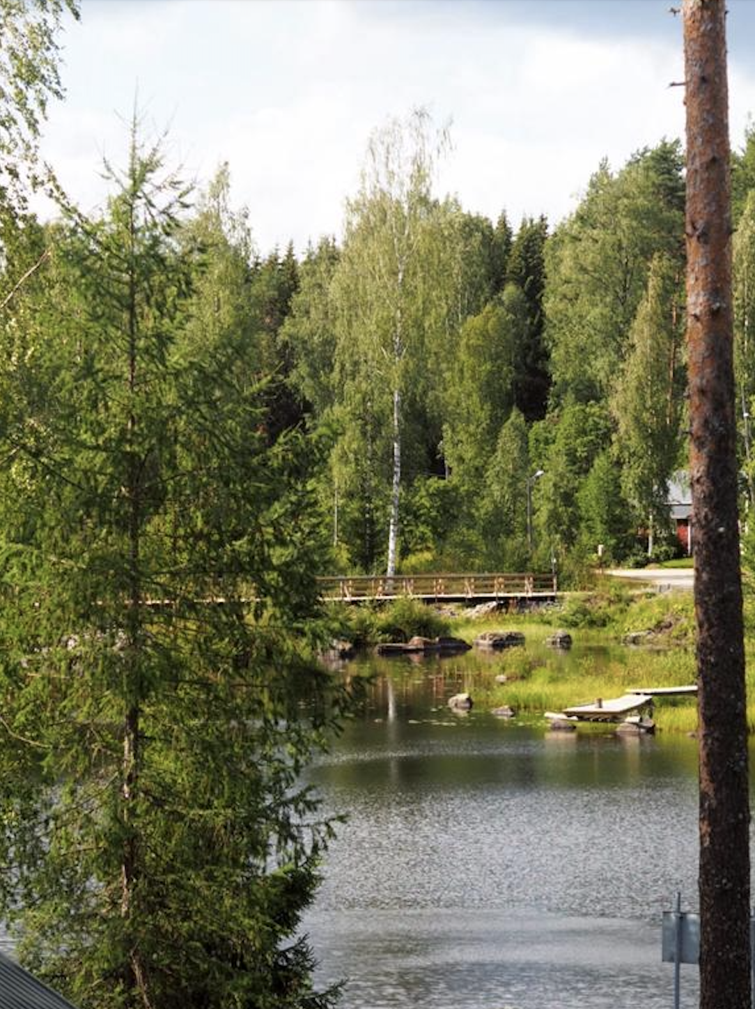 Ronttopuisto, galleria, palokin lohilammet